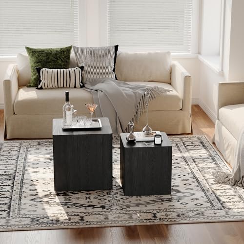 UNDUSLUY Nesting Coffee Table Set of 2, Modern Coffee Table and End Table Sets, Small Wooden Nesting Side Tables for Living Room Bedroom Apartment(Black)
