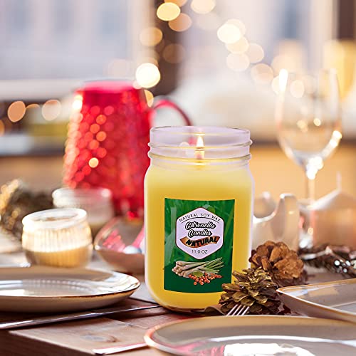 Soyyla Citronella Candles Outdoor And Indoor, 11 Oz Mason Jar Candles Scented Candles Gift Set For Patio Garden Yard- 2 Pack, 2.8 In × 4.8 In #TOP5