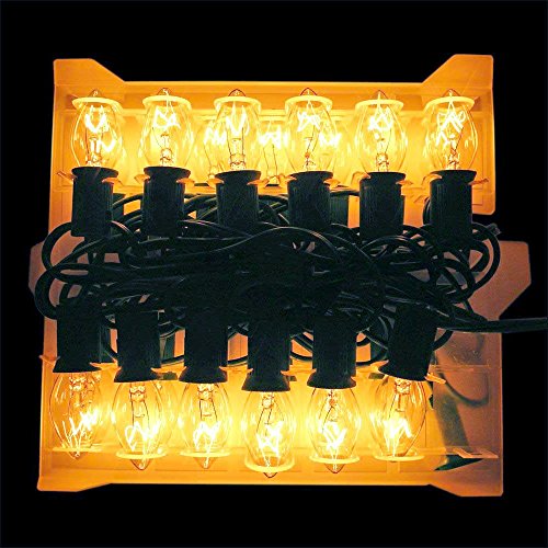 Sunsgne C7 Christmas Lights, 25Ft Outdoor Christmas String Lights With 27 Clear Warm White Incandescent Bulbs, Christmas Vintage String Light For Patio, Christmas, Cafe, Party Decor, Green Wire #TOP2