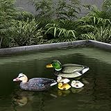 etc-shop Teichenten für Gartenteich Entenfamilie Schwimmente für Teich Stockente Deko schwimmende Teichdeko, mit Verbindungsöse Stabilisierungsgewicht