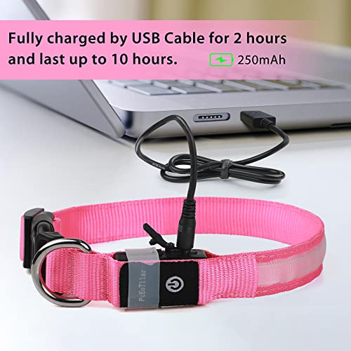 Pceotllar Light Up Dog Collar For Night Walking - Led Dog Collar Light Rechargeable Color Changing, Glow In The Dark Dog Collars Waterproof Glowing Dog Collars For Large Small Medium Dogs #TOP6