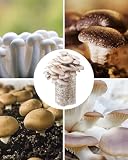 Zevmi 50 sztuk worków do hodowli grzybów: przezroczyste worki do uprawy grzybów, zestaw worków do uprawy grzybów z filtrem do pieczarek, grzybów Enoki Shiitake, zbóż, boczniaków (32 x 50 cm)