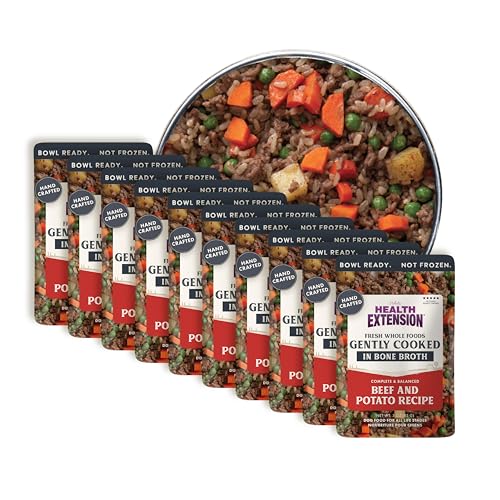 Image of Health Extension Gently Cooked Beef & Potato Dog Food, Human-Grade and Shelf-Stable with Superfoods, Supports Digestion, Immunity, Skin & Coat, 3 oz Pouch (Pack of 10)