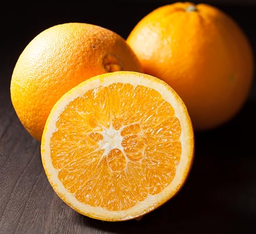 �yA���i�z�l�[�u�� �I�����W �a�̎R �I�m��l�[�u�� �ω��R�t���[�c�K�[�f�� (9kg)