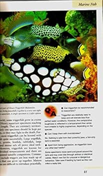 Hardcover The Marine Aquarium Problem Solver: Practical & Expert Advice on Keeping Fish & Invertebrates Book