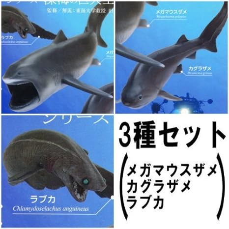 Amazon 立体カプセル百科事典 Nhkスペシャル 謎の海底サメ王国 3種セット メガマウスザメ カグラザメ ラブカ カプセル玩具 おもちゃ