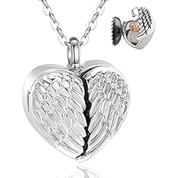 EUDORA Colgantes para Cenizas Plata de ley 925 Collar Corazón Collar de Urna, Collar de Ceniza para Mujer Colgante Foto Regalos Originales para Mujer 18pulgadas