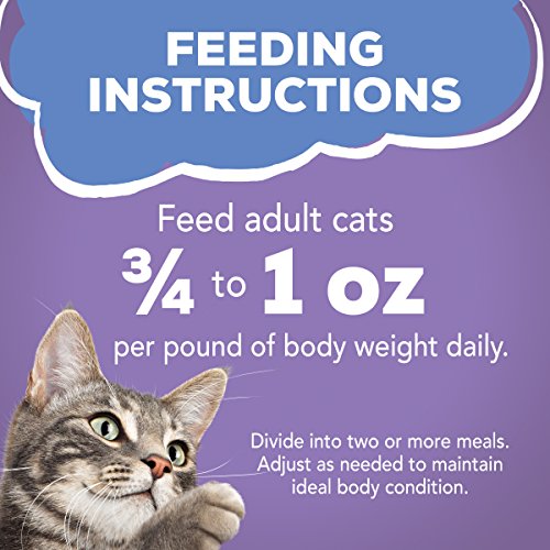 Purina Friskies Gravy Wet Cat Food, Shreds Turkey & Cheese Dinner - (24) 5.5 Oz. Cans #TOP7