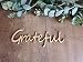 Grateful wood cutouts, fall plate decorations