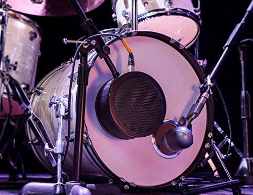 Solomon Mics Lofreq Sub Microphone, Black #TOP3