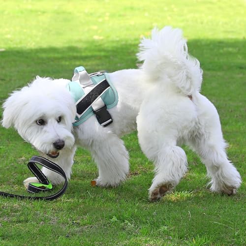Bolux Dog Harness, No-Pull Reflective Dog Vest, Breathable Adjustable Pet Harness with Handle for Outdoor Walking - No More Pulling, Tugging or Choking - Thumbnail 6