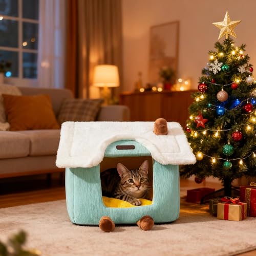 Maison d'hiver fermée pour chat au design mignon et durable
