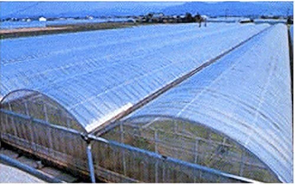 Amazon.co.jp: ノービエースみらい 0.1mm厚 800cm幅 15m 透明 農業用