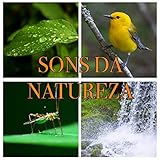  Música Sono Profundo