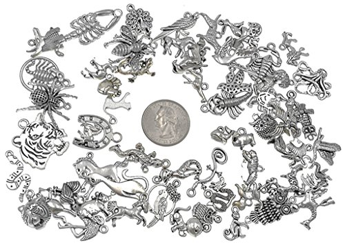Kinteshun Zoo Animals Charms,Alloy Multistyle Creatures Insects Birds Charm Pendant For Diy Jewelry Making Accessaries(55Pcs,Antique Silver Tone) #TOP1