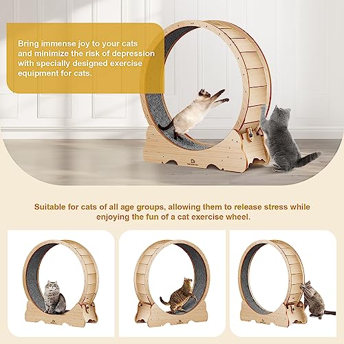 Naviconvex Cat Wheel, 45 inch Large XL Cat Treadmill, Cat Exercise Wheel with Carpeted Runway, Running Wheel for Indoor Cats, Cat Hamster Wheels,Cat Gifts for Cat Lovers,Kitty\'s Weight Loss and Health - Thumbnail 3