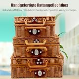 Aufbewahrungskorb mit Deckel und Griffen, Geflochtenem Rattan Aufbewahrungsbox, Vintage Gewebt Weidenkorb, Rechteckig Regalkörbe, Multifunktionaler Weidenkoffer für Picknick, Camping, Hochzeit (L)