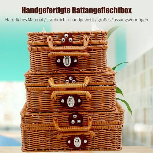 Aufbewahrungskorb mit Deckel und Griffen, Geflochtenem Rattan Aufbewahrungsbox, Vintage Gewebt Weidenkorb, Rechteckig Regalkörbe, Multifunktionaler Weidenkoffer für Picknick, Camping, Hochzeit (L)