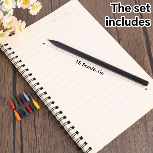 Goktvai Forever Pencil, Metal Alloy Writing Instrument with 12 Colorful Replacement Nibs Everlasting Inkless Pencil Suitable for Artist Student and Hobbyist