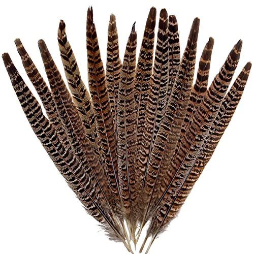 10pcs 12-14 inches Long Natural Pheasant Tail Feathers for Crafts DIY Hats Party Decorations (Natural)