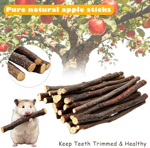 13 Pieces Natural Rabbit Chew Toys for Bunny Small Animal — 사진 3