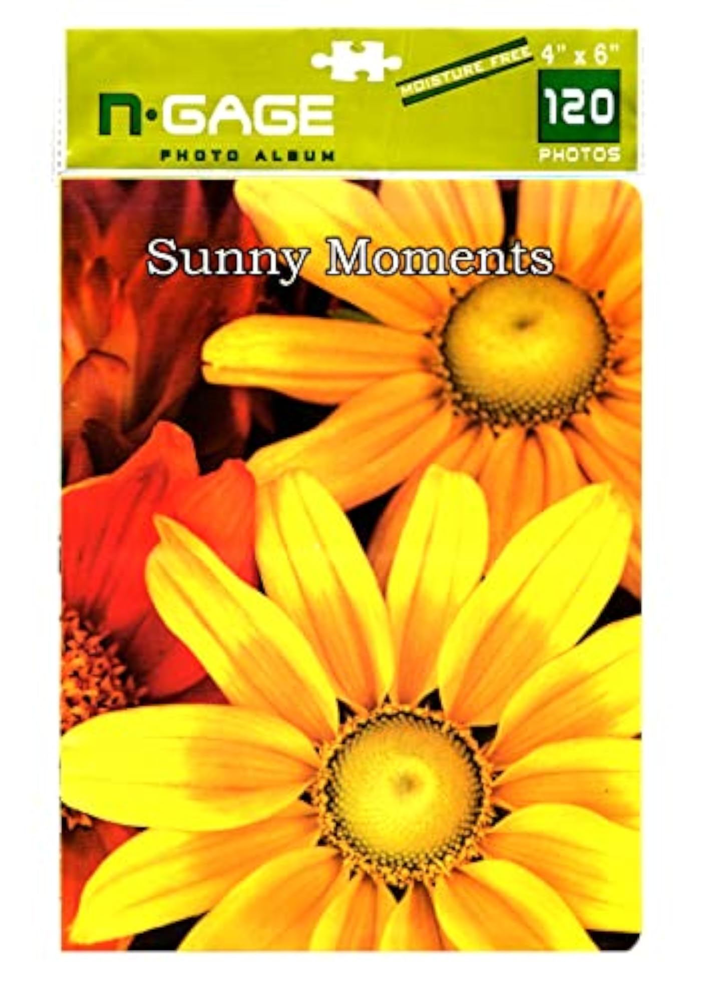 Lifetime Classics Moisture Free Photo Album