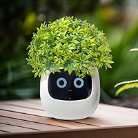 Neighborhood SRL BAPE NBHD PLANT POT 鉢 SRL BAPE NBHD PLANT