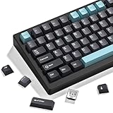 dagaladoo Keyboard keycaps Set, Double Shot PBT keycaps,Cherry Profile Custom Key caps 60 65 75 100 Percent for Cherry-mx Full Size Retro Mechanical Keyboard,Grey/Blue