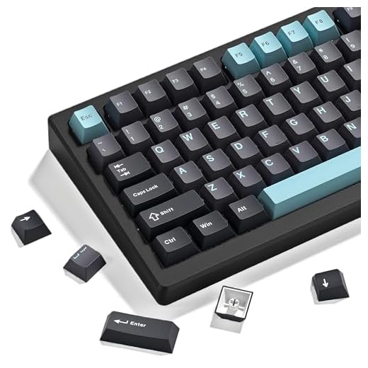 dagaladoo Double Shot PBT-Tastenkappen-Set, benutzerdefinierte Tastatur-Tastenkappen, komplettes Set mit 189 Tasten, ISA-Profil-Tastenkappen für 60%, 65%, 70%, 100% MX-Schalter, mechanische