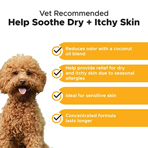 Pethonesty Allergy Anti-Itch Shampoo For Dogs And Cats - Help Reduce Itching, Moisturizing And Hydrating Essential Oils, Deodorizing Coat, Coconut Oil + Vitamin E - 16 Oz #TOP2