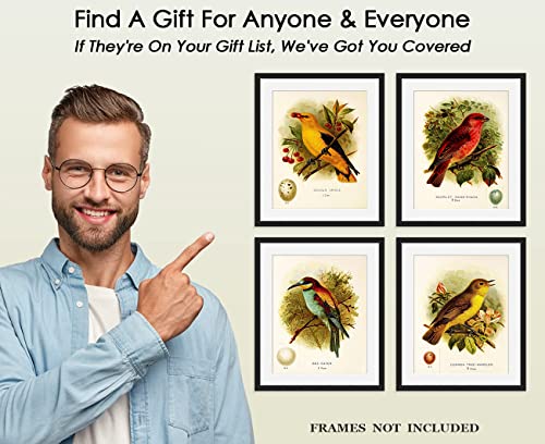 Antique Bird Poster Wall Art Print,Bird Art Prints,Set Of 4(8X10Inch) Photos Unframed Make Great Room Wall Decor Gift. #TOP2
