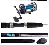 Canna Pesca Traina Libre 15/30 Mulinello Rotante Trainetta Alletterato Lampuga Jd Trolling 5000 Con Filo