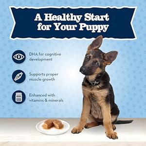   Blue-Buffalo-Baby-BLUE-Natural-Puppy-Wet-Dog-Food-Healthy-Growth-Formula-with-DHA-Lamb-and-Vegetable-Recipe-35-oz-Cups-12-Count