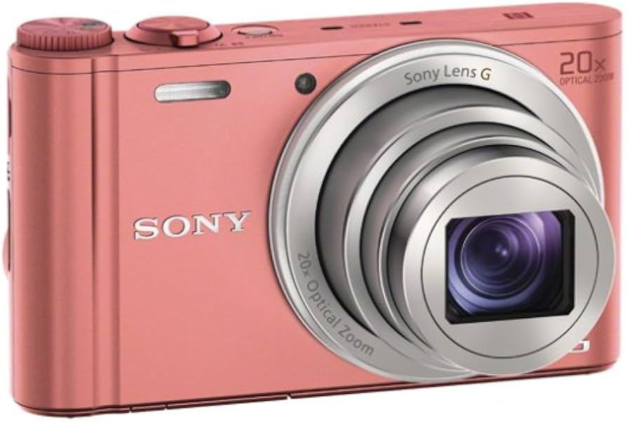 Sony DSC-WX350 Digitalkamera (18 Megapixel, 20-fach opt. Zoom, 7,5