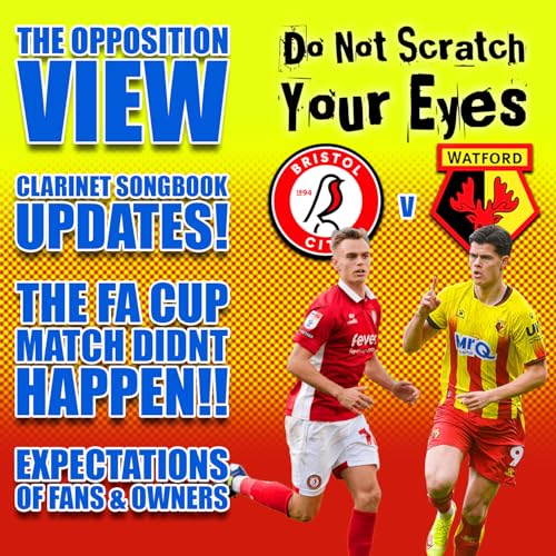 OPPOSITION VIEW - BRISTOL CITY (AWAY)