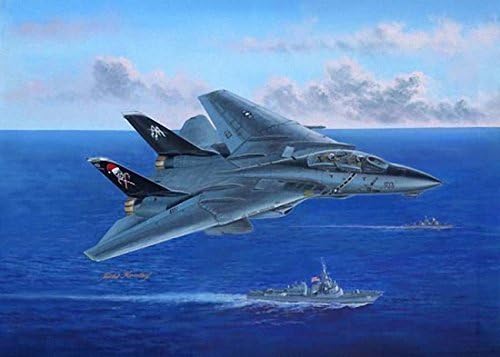 Hobbyboss 80367 F-14B Tomcat 1:48 Plastic Kit by Hobbyboss
