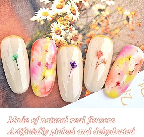 TEOYALL 24 Colors Dried Flowers for Nail Art, 2 Boxes 3D Dry Flowers Nail Stickers Colorful Natural Real Flower Nail Decals (A)