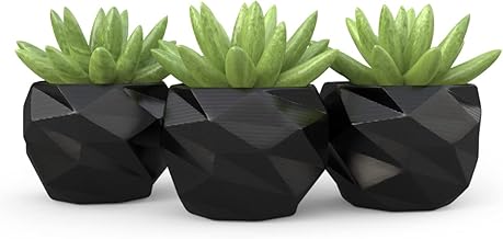 3 Vasos Cachepot Suculenta Ervas Flor Decora Mesh Mini Pp58
