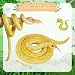 Imagen de Gran Figura de Serpiente de Peluche de 200 Cm de Algodón Para Niños
