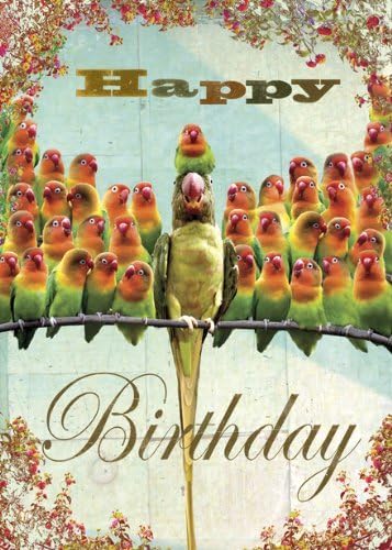 Joyeux Anniversaire Perroquets Carte De Voeux Par Max Hernn Amazon Fr Fournitures De Bureau