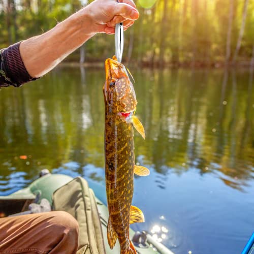 Fishing Jigs Spoons Lures, Metal Long Casting Jigging Spoon Lure Vertical Hard Swimbait for Walleye Bass Trout Freshwater & Saltwater (5pcs 0.35oz 0.53oz 0.7oz 1.06oz & 1.41oz)