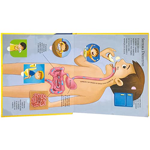 Explorar e Aprender - Um livro com abas: Corpo Humano Explorar e Aprender - Um livro com abas: Corpo Humano - Imagem 2