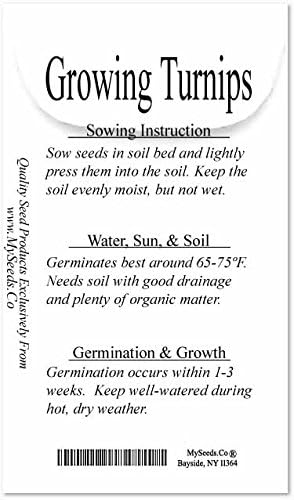 1 lb (180,000+ Seeds) Purple Top White Globe Turnip seeds - Greens contains even more nutrients - 50 Days until Harvest - Non-GMO Seeds By MySeeds.Co (1 lb Purple Top White Globe Turnip)
