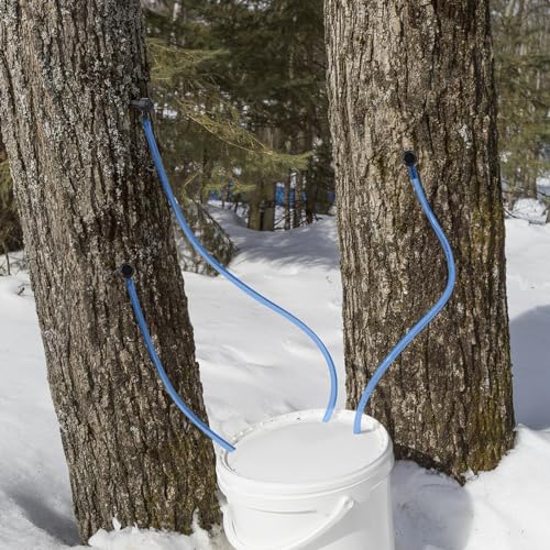 Image of Maple Syrup Tapping Kit, Upgrade Maple Taps Set Include (15) Maple Syrup Taps, 33 -Ft Food Grade Tubing, 1 Drill Bit, Maple Tree Tapping Kit for Experts or Beginners (15 SET)