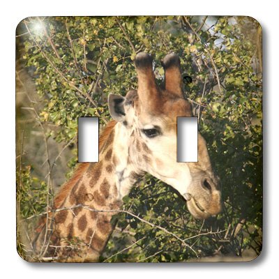 Double interrupteur à bascule avec impression haute définition tête de girafe 3dRose - 3