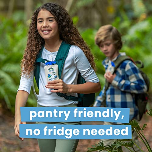 Gogo Squeez Yogurtz Blueberry, 3 Oz (Pack Of 4), Kids Snacks Made From Real Yogurt And Fruit, Pantry Friendly, No Fridge Needed, Gluten Free And Nut Free, Recloseable Cap, Bpa Free Pouches #TOP4
