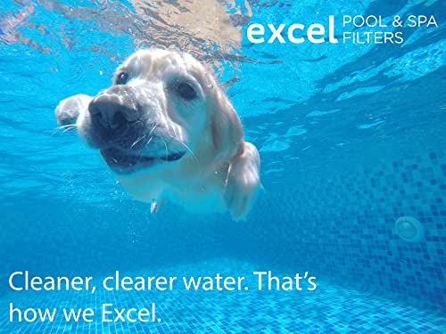 Xls-831 Replacement Pool Filter Cartridge For Sundance Spas Double End 120; Oem Cartridge 6540-488 #TOP7