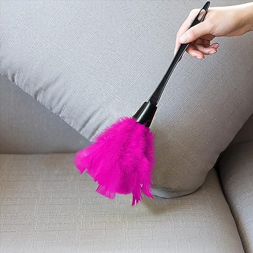 Image of Turkey Feather Dusters for Cleaning Home Blinds Kitchen car Office, Eco-Friendly Reusable (2 pcs Rose red)