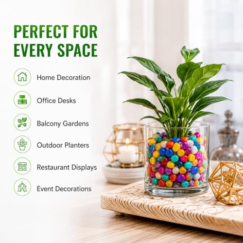 Image of Multi-Color Decorative Pebbles for Plants Pots, Fish Tank Aquarium, Vase Fillers & Home Decoration Stones | Natural Polished Pebbles for Indoor & Outdoor Decor | 1 Kg Pack