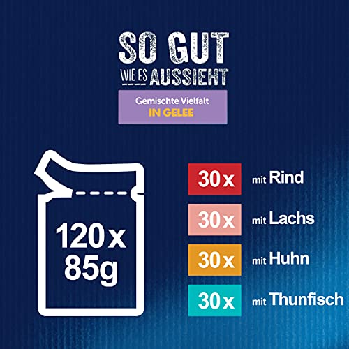 Felix So gut wie es aussieht Senior Katzenfutter nass in Gelee, Sorten-Mix, 120er Pack (120 x 85g)